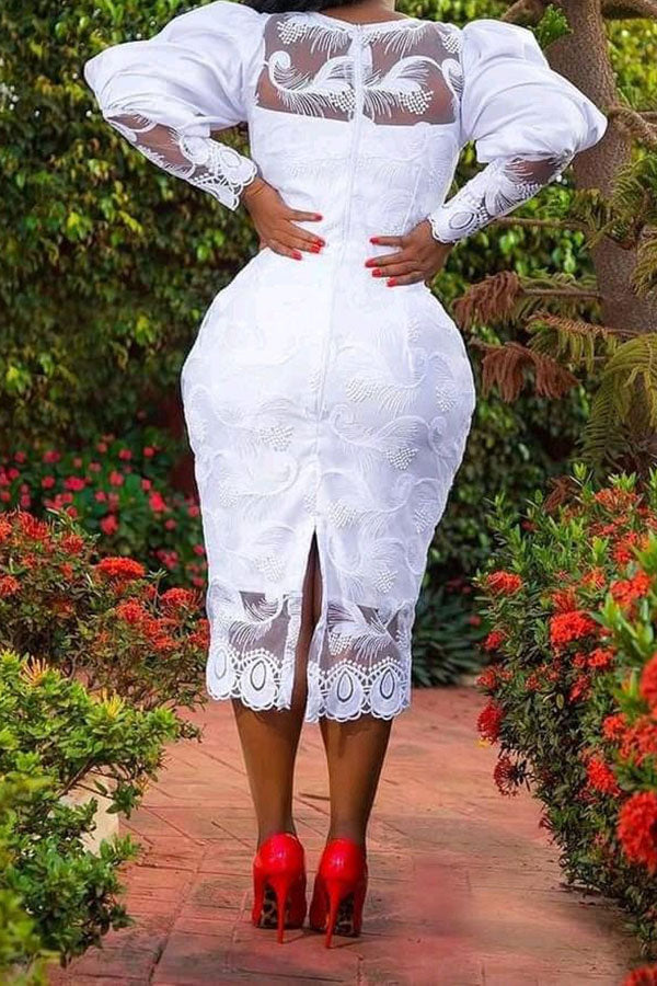 namcoverse Lace Feminine Zip Through Midi Dress