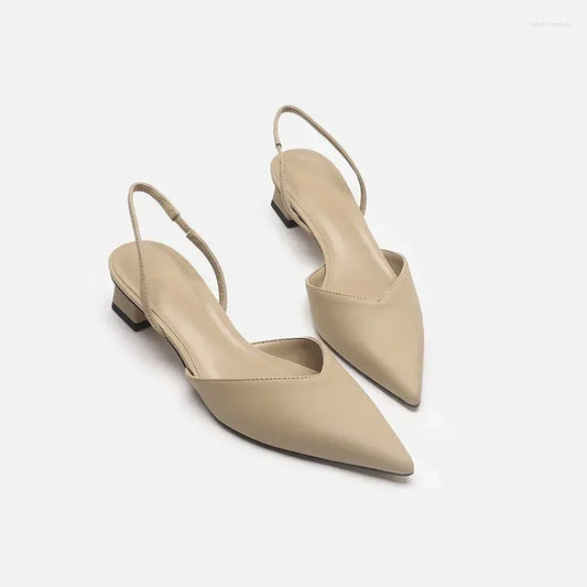 Sandals Women Summer Pointed Toe Ladies Thick Heel Autumn Women's Shoes Fashion Plus Size Mules