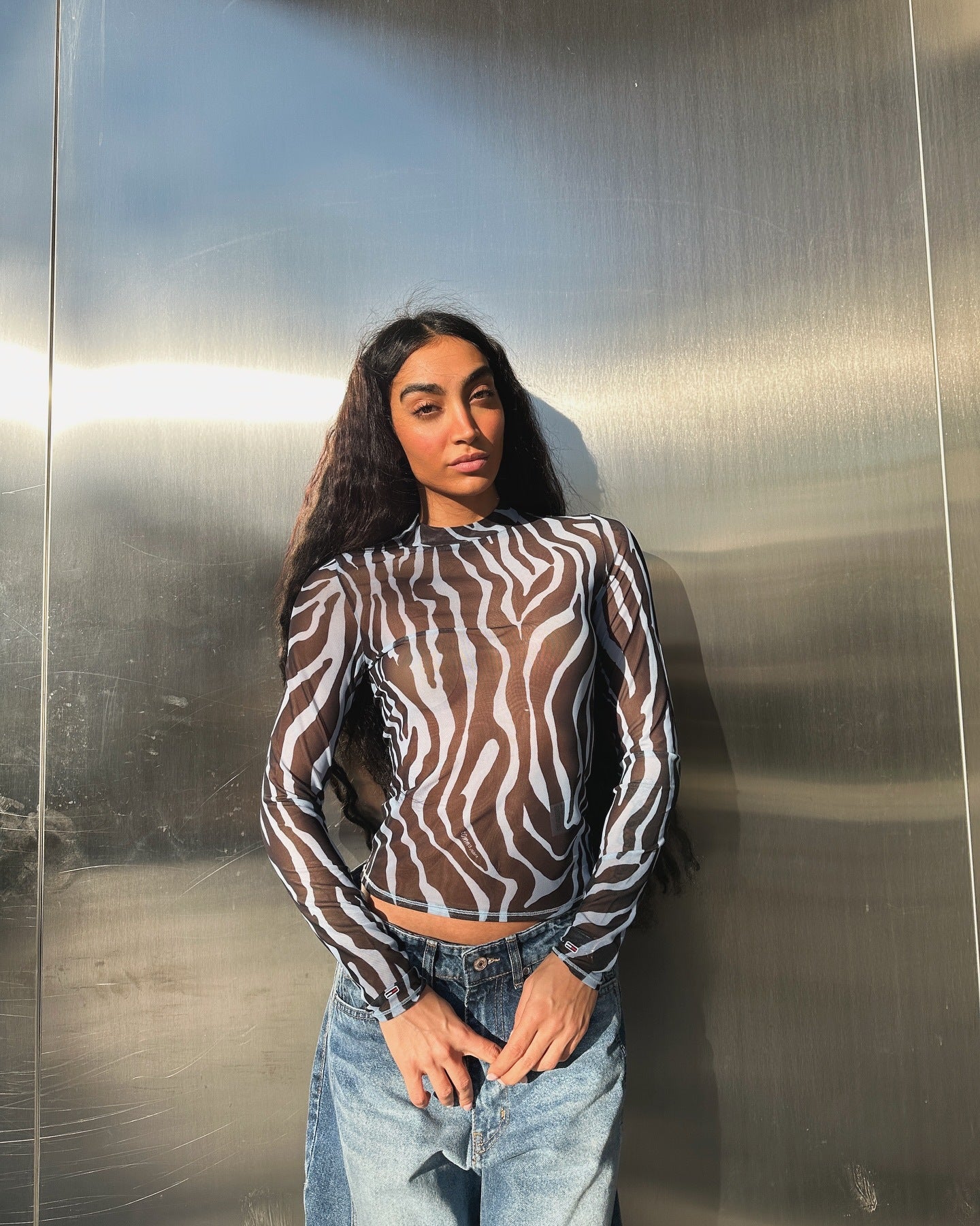 Zebra pattern fashion sexy see-through mesh long-sleeved T-shirt outside wearing female spice girl senior sense thin summer top female