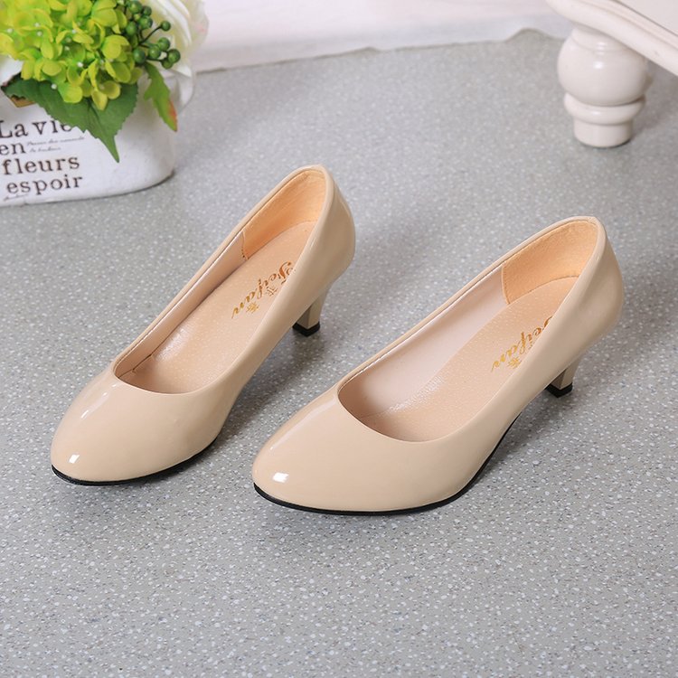 flowersverse Four Seasons High Heel Pumps Women's Mid and Low Heel Fashion Pointed Shoes 5cm Chunky Heel Casual Leather Shoes Low Heel Work Performance Shoes
