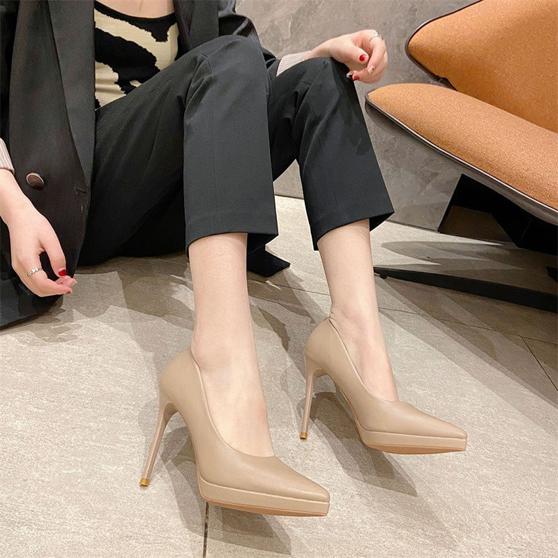 2025 1088B professional OL high heels women's 2025 autumn new pointed single shoes women's sexy high heels 10cm stiletto