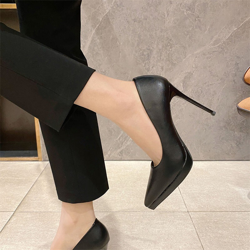 2025 1088B professional OL high heels women's 2025 autumn new pointed single shoes women's sexy high heels 10cm stiletto