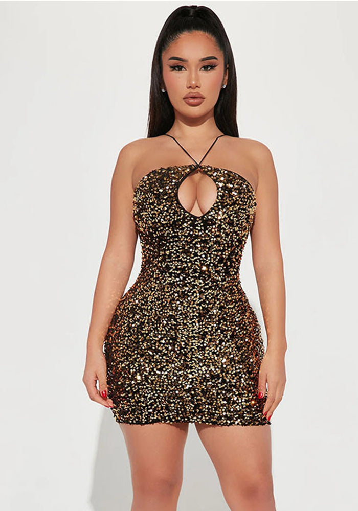 flowersverse Women Sequin Deep V Neck Halter Neck Bodycon Dress