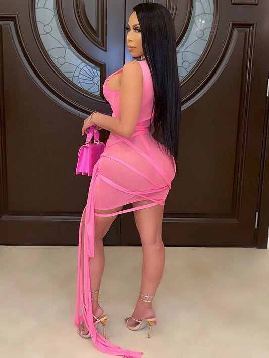 flowersverse Sheer Mesh Sleeveless Bodycon Mini Dresses