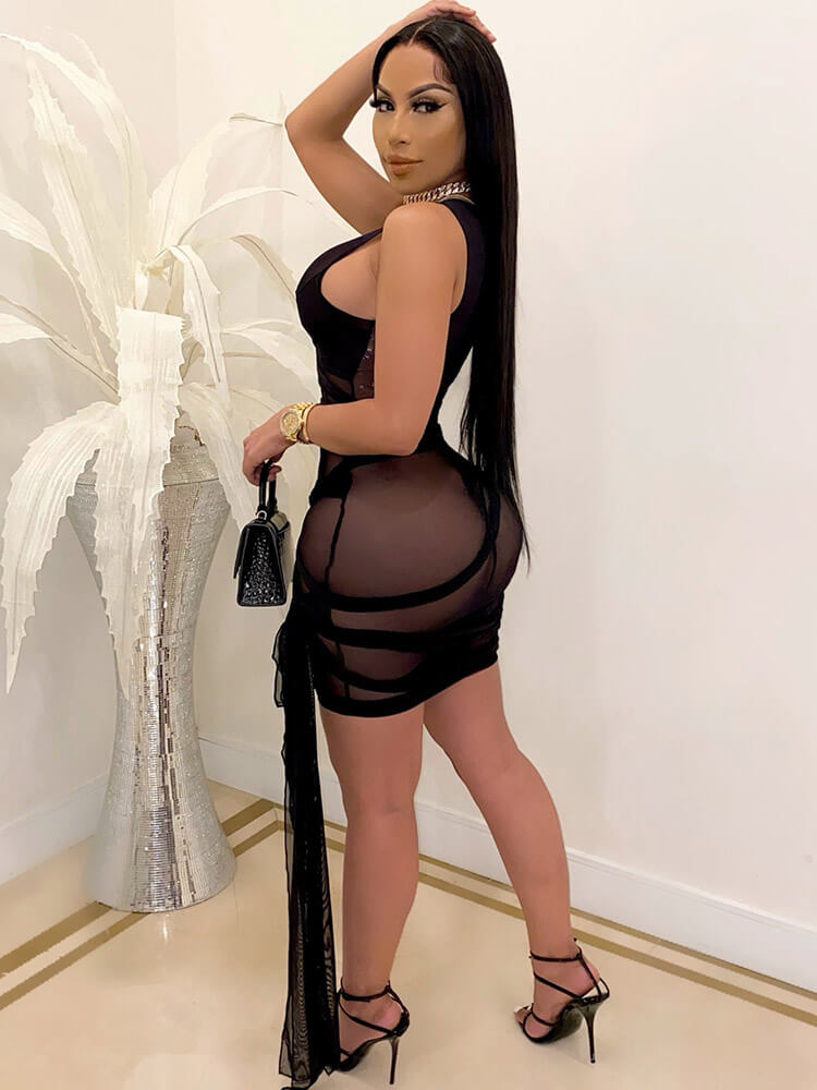 flowersverse Sheer Mesh Sleeveless Bodycon Mini Dresses