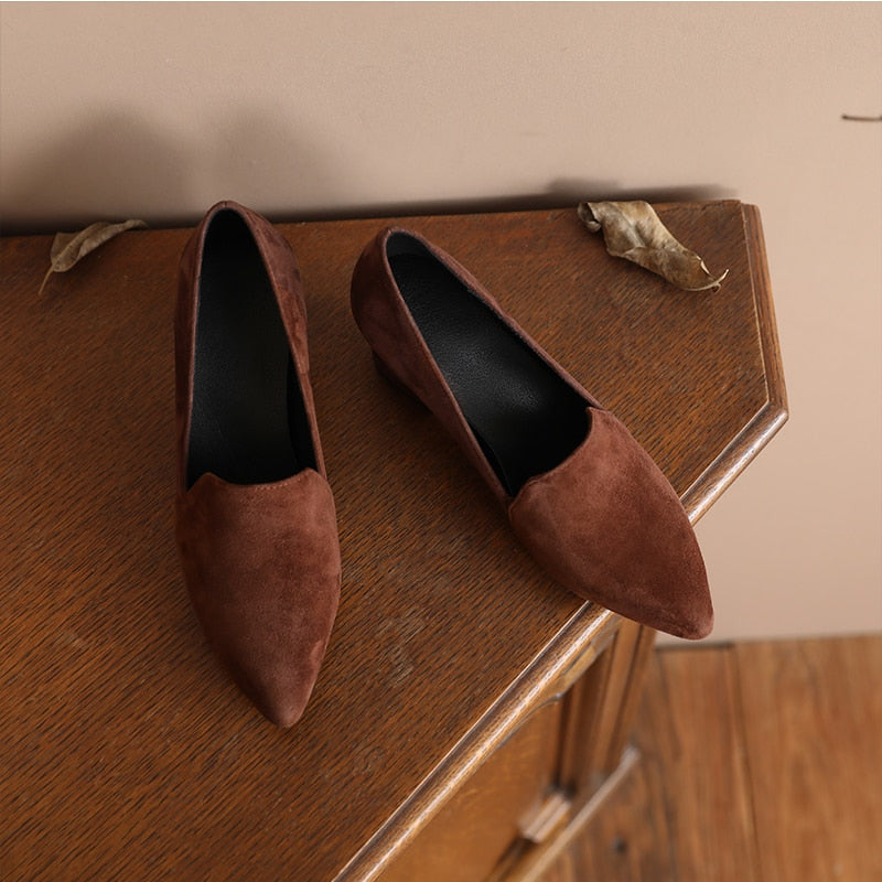 Back to school spring Women's pumps Natural Leather 22-24.5cm Sheep suede upper pointed Thick high heels shoes for women 4/6/8cm heel