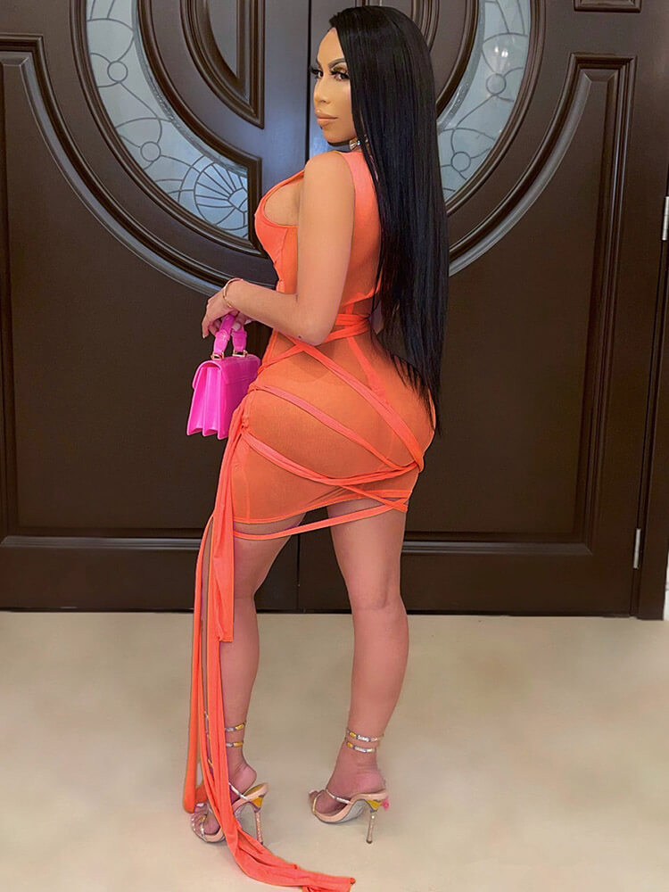 flowersverse Sheer Mesh Sleeveless Bodycon Mini Dresses