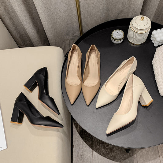 2025 SX678 manufacturers wholesale women's high heels single shoes 2025 new shallow pointed women's fashion thick heel high heels