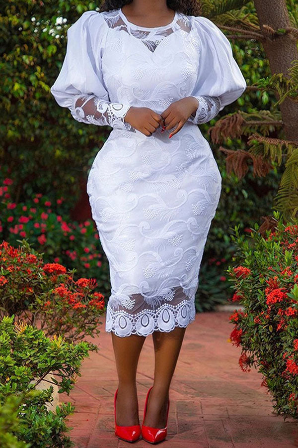 namcoverse Lace Feminine Zip Through  Midi Dress