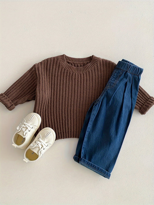 Boys Korean Style Knit Pullover Sweater, Casual & Comfortable Top For Fall/Winter