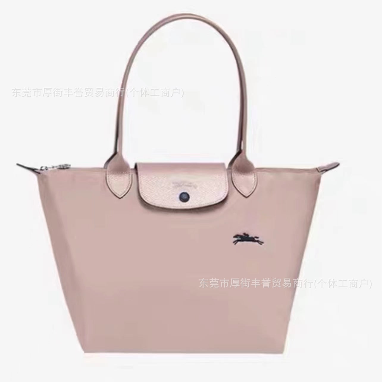 FLOWERSVERSE  70 Th Anniversary Longchamps Bag Nylon Dumpling Bag Large Capacity Women Bags Canvas Tote Shoulder Handbag Longchamps Bag