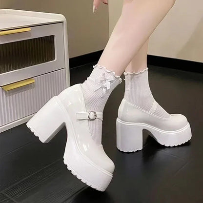 2024 Women's Shoes Mary Janes Women's High Heel Platform Dress Pump Women Buckle Strap Round Toe Shallow Chunky Heel Shoes Women