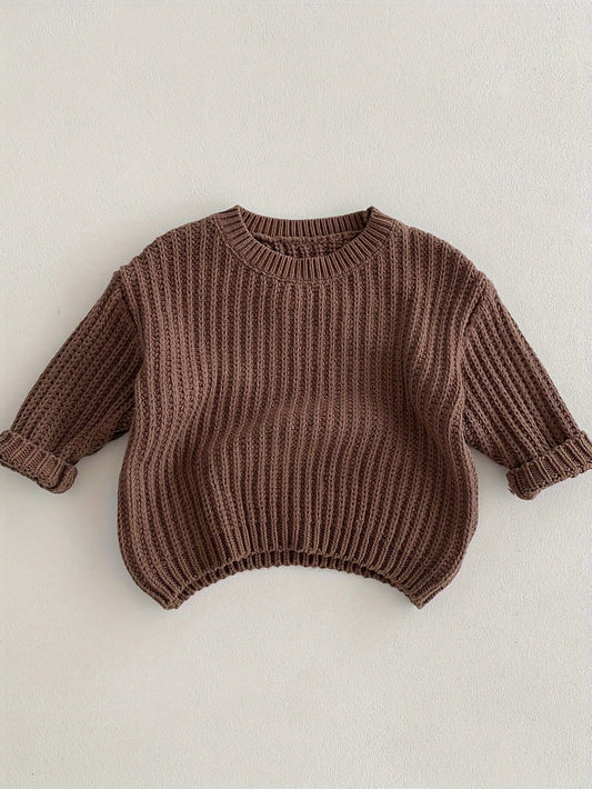 Boys Korean Style Knit Pullover Sweater, Casual & Comfortable Top For Fall/Winter