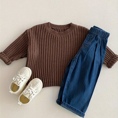 Boys Korean Style Knit Pullover Sweater, Casual & Comfortable Top For Fall/Winter