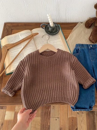 Boys Korean Style Knit Pullover Sweater, Casual & Comfortable Top For Fall/Winter