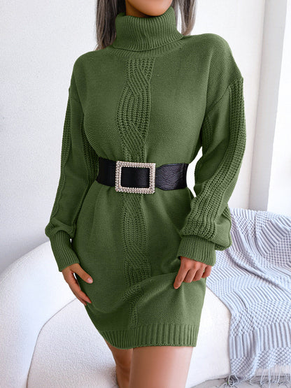 flowersverse Casual Turtleneck Twist Lantern Basic Model Sleeve Dress Women's Sweater