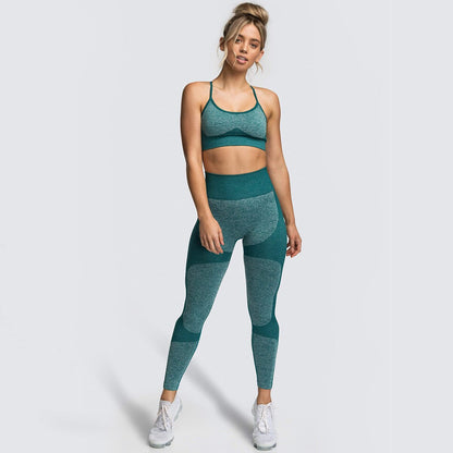 flowersverse Seamless Women Yoga Set Workout Shirts Sport Pants Bra Gym Suits Fitness Shorts Crop Top High Waist Running Leggings Sports Sets