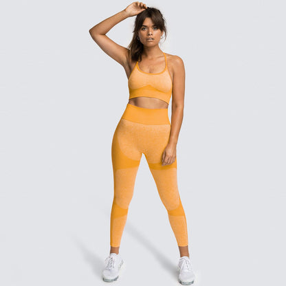 flowersverse Seamless Women Yoga Set Workout Shirts Sport Pants Bra Gym Suits Fitness Shorts Crop Top High Waist Running Leggings Sports Sets