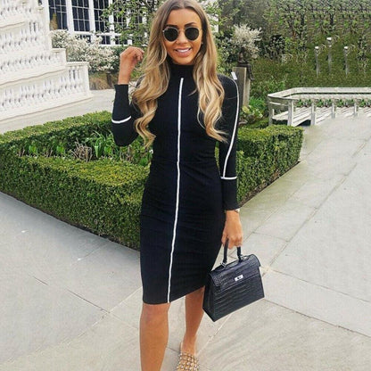 flowersverse Women Autumn Long Sleeve Short Dress Secy Ladies Slim Fit High Neck Dress Bodycon Bandage Casual Slim Dresses